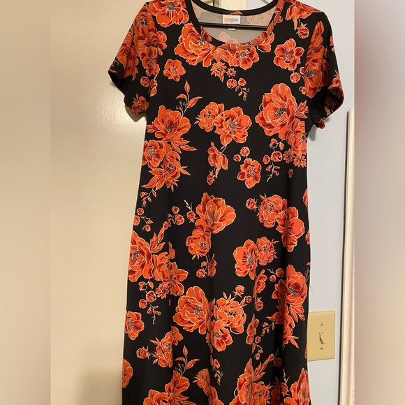 LulaRoe Jessie Dress - Picture 5 of 5